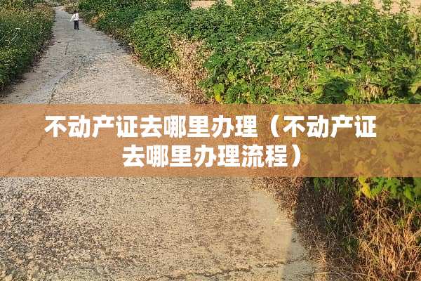 不动产证去哪里办理（不动产证去哪里办理流程）