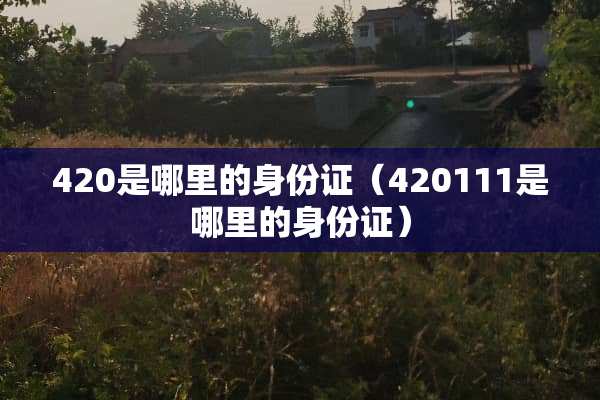 420是哪里的***（420111是哪里的***）