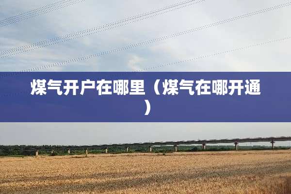 煤气开户在哪里（煤气在哪开通）