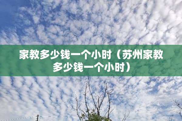 家教多少钱一个小时（苏州家教多少钱一个小时）
