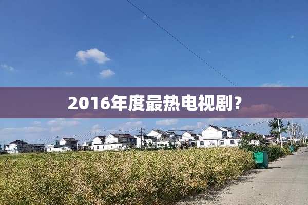 2016年度最热电视剧？