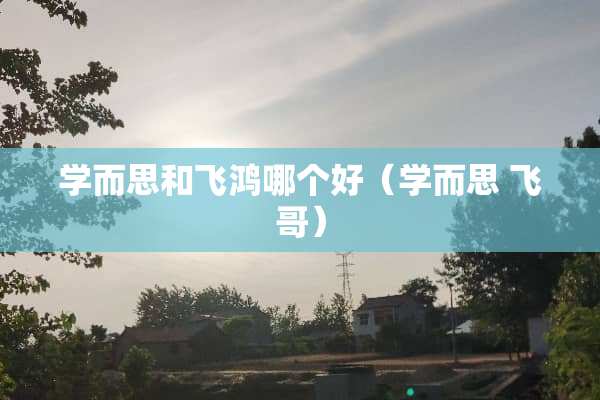 学而思和飞鸿哪个好（学而思 飞哥）