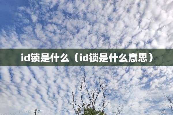 id锁是什么（id锁是什么意思）