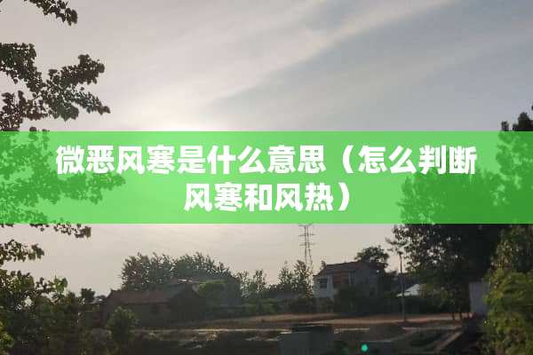 微恶风寒是什么意思（怎么判断风寒和风热）