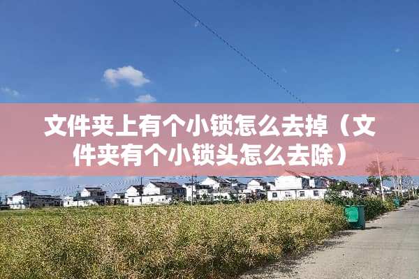 文件夹上有个小锁怎么去掉（文件夹有个小锁头怎么去除）