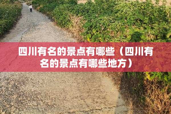 四川有名的景点有哪些（四川有名的景点有哪些地方）