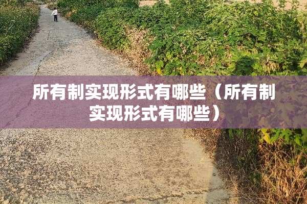 所有制实现形式有哪些（所有制实现形式有哪些）