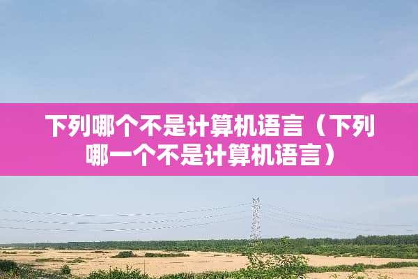 下列哪个不是计算机语言（下列哪一个不是计算机语言）