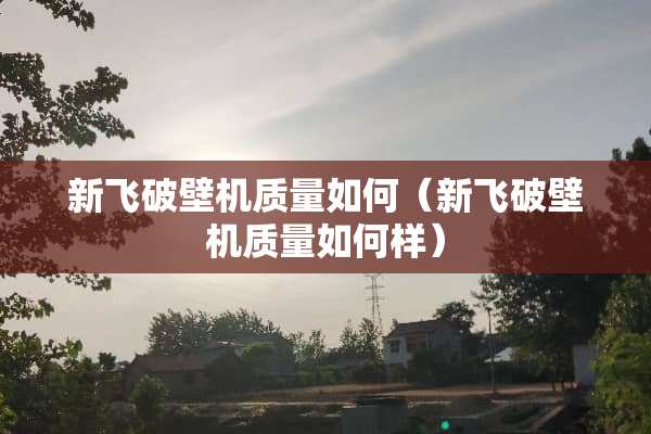 新飞破壁机质量如何（新飞破壁机质量如何样）