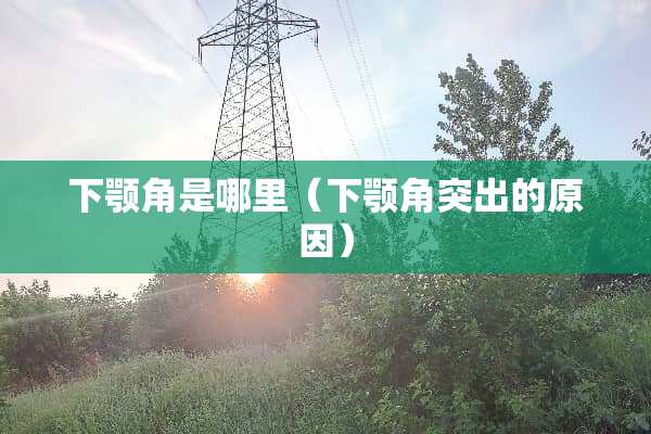 下颚角是哪里（下颚角突出的原因）