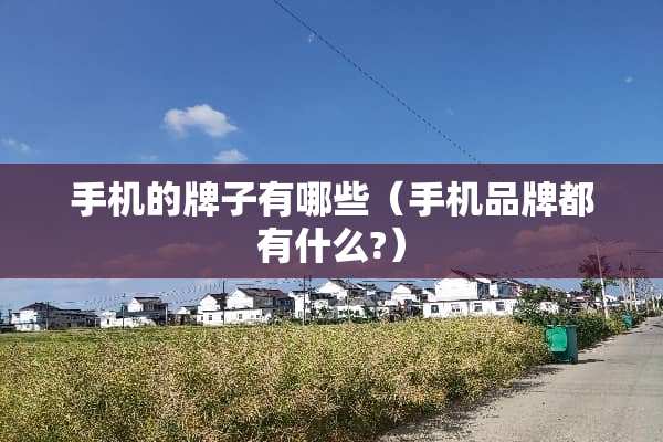 手机的牌子有哪些（手机品牌都有什么?）