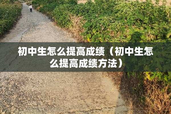 初中生怎么提高成绩（初中生怎么提高成绩方法）