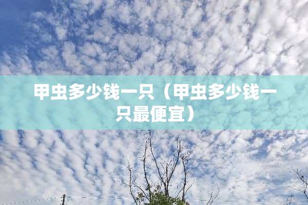 甲虫多少钱一只（甲虫多少钱一只最便宜）