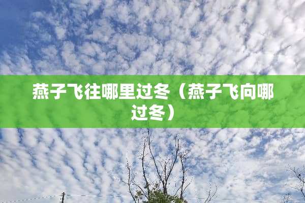 燕子飞往哪里过冬（燕子飞向哪过冬）