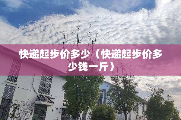 快递起步价多少（快递起步价多少钱一斤）