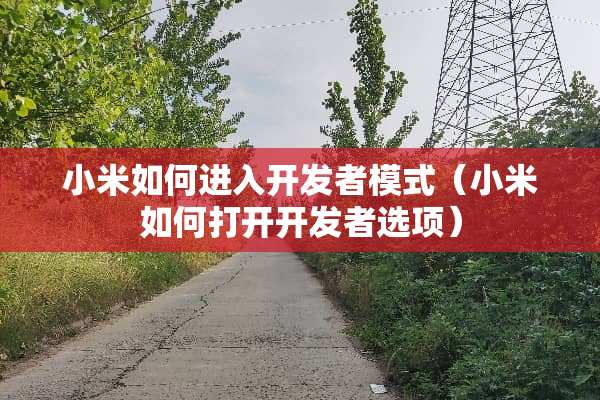 小米如何进入开发者模式（小米如何打开开发者选项）