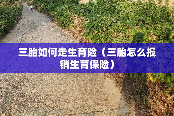 三胎如何走生育险（三胎怎么报销生育保险）