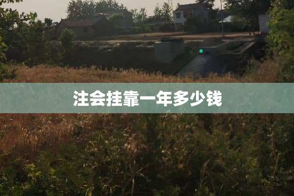 注会挂靠一年多少钱