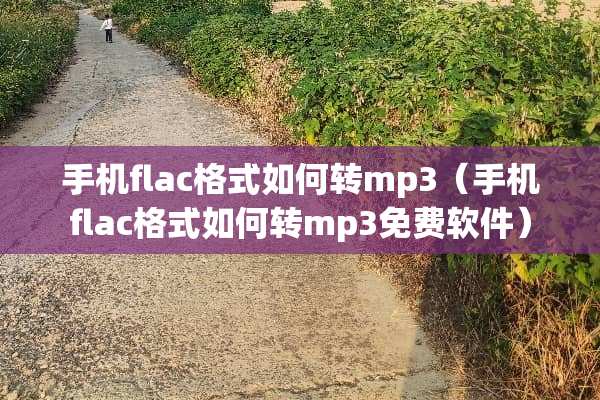 手机flac格式如何转mp3（手机flac格式如何转mp3免费软件）