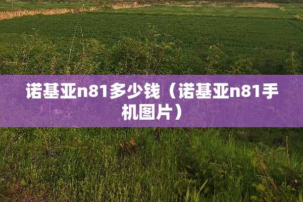 诺基亚n81多少钱（诺基亚n81手机图片）