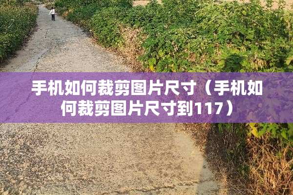 手机如何裁剪图片尺寸（手机如何裁剪图片尺寸到117）