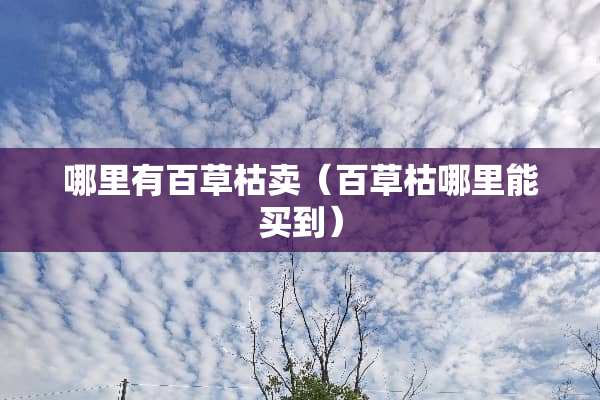 哪里有百草枯卖（百草枯哪里能买到）