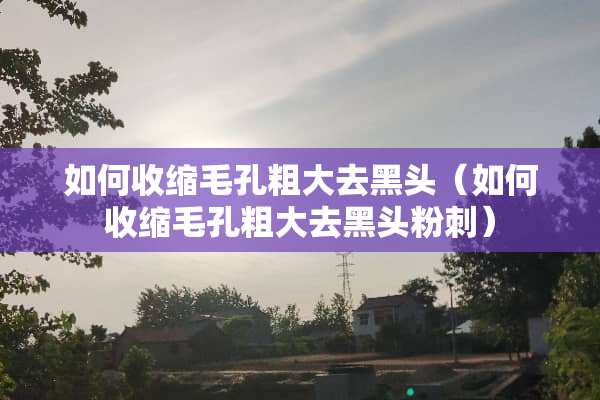 如何收缩毛孔粗大去黑头（如何收缩毛孔粗大去黑头**）