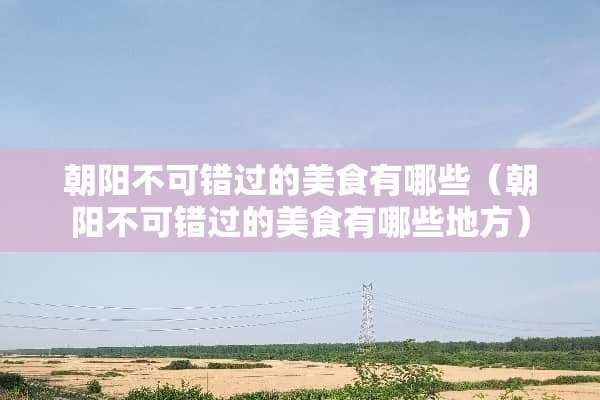 朝阳不可错过的美食有哪些（朝阳不可错过的美食有哪些地方）