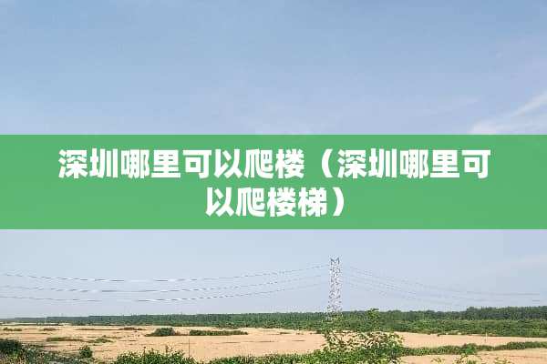 深圳哪里可以爬楼（深圳哪里可以爬楼梯）
