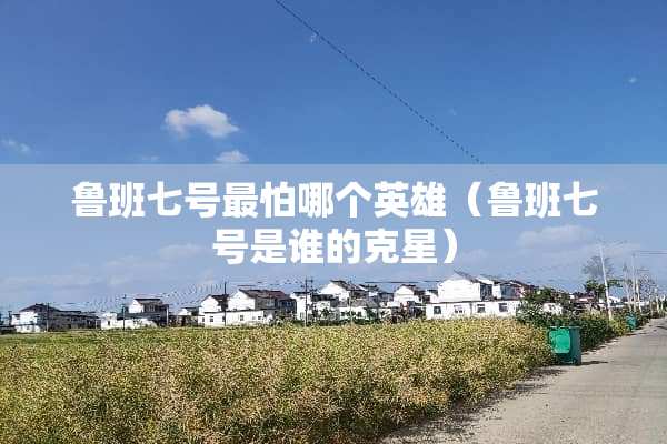 鲁班七号最怕哪个英雄（鲁班七号是谁的克星）