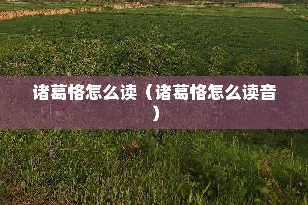 诸葛恪怎么读（诸葛恪怎么读音）