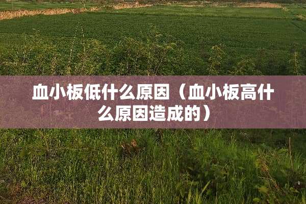 血小板低什么原因（血小板高什么原因造成的）