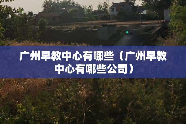 广州早教中心有哪些（广州早教中心有哪些公司）