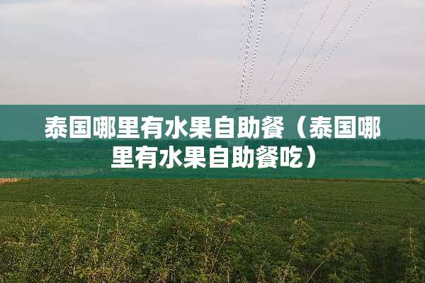 泰国哪里有水果自助餐（泰国哪里有水果自助餐吃）