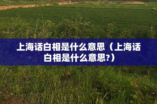 上海话白相是什么意思（上海话白相是什么意思?）