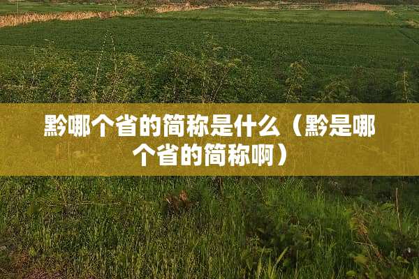黔哪个省的简称是什么（黔是哪个省的简称啊）
