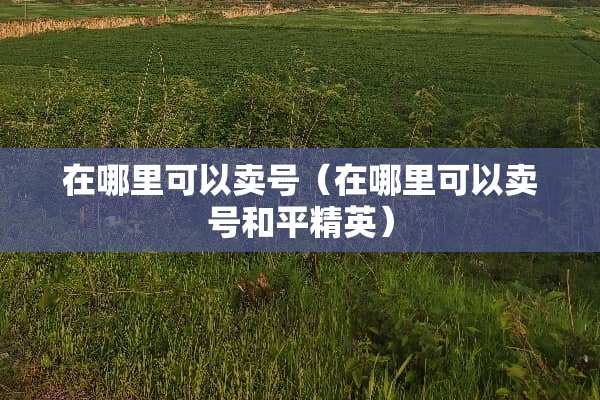 在哪里可以卖号（在哪里可以卖号和平精英）
