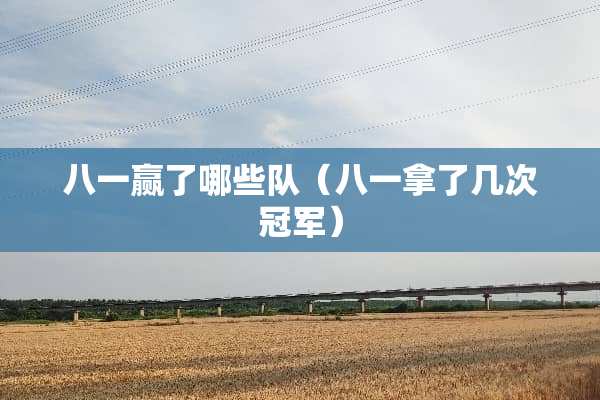 八一赢了哪些队（八一拿了几次冠军）