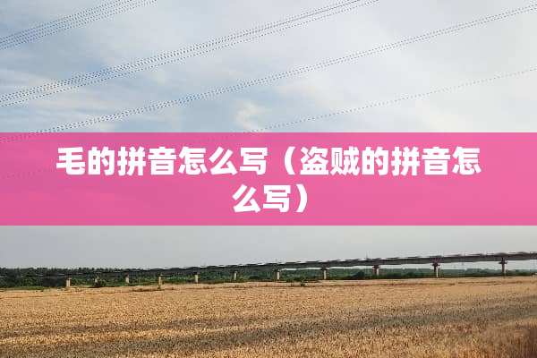 毛的拼音怎么写（盗贼的拼音怎么写）