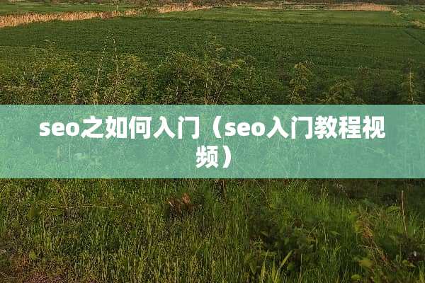 seo之如何入门（seo入门教程视频）