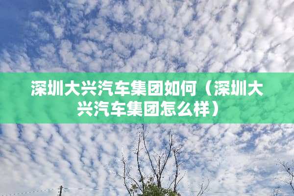 深圳大兴汽车集团如何（深圳大兴汽车集团怎么样）