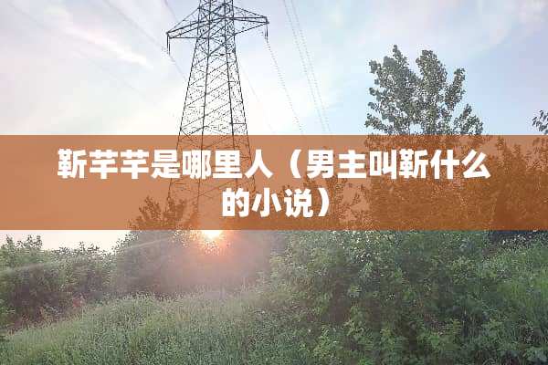 靳芊芊是哪里人（男主叫靳什么的小说）