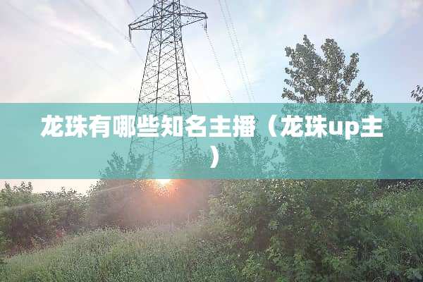 龙珠有哪些知名主播（龙珠up主）