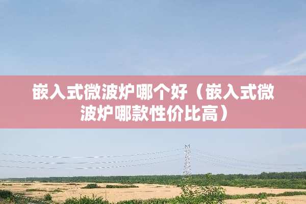 嵌入式微波炉哪个好（嵌入式微波炉哪款性价比高）