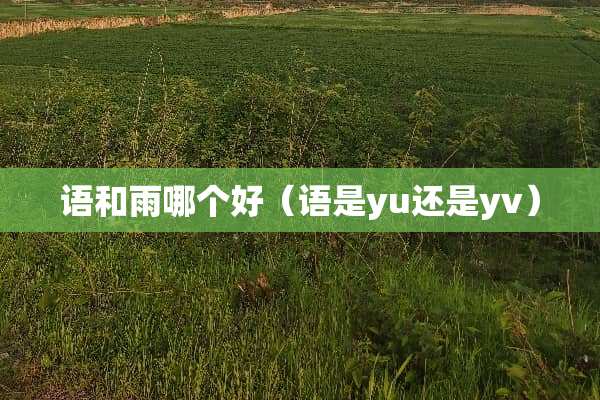 语和雨哪个好（语是yu还是yv）