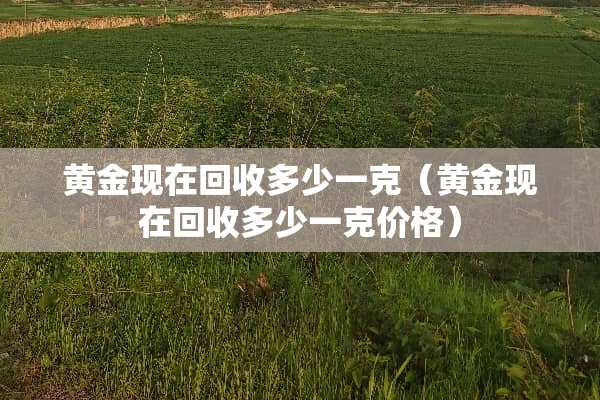 黄金现在回收多少一克（黄金现在回收多少一克价格）