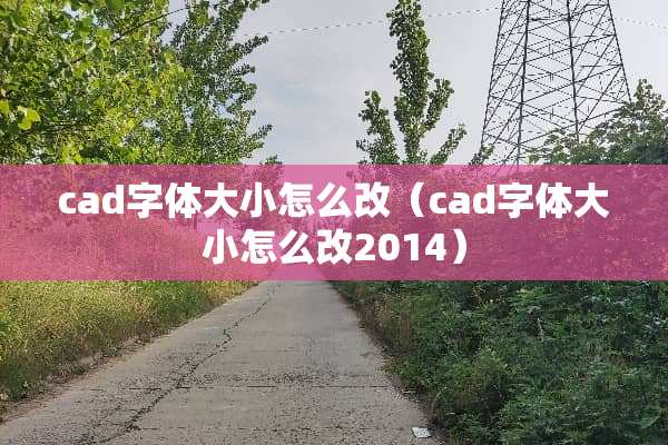 cad字体大小怎么改（cad字体大小怎么改2014）