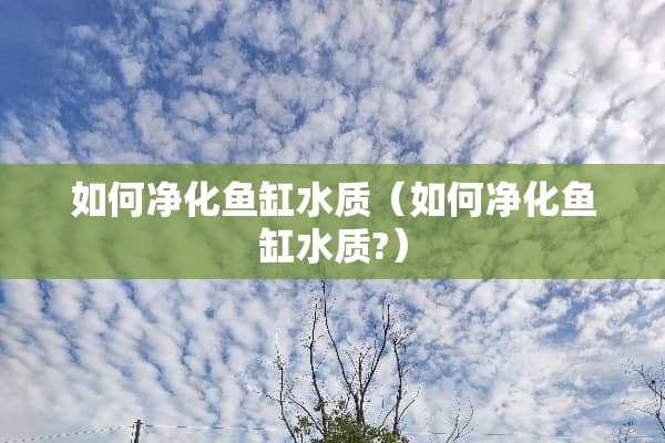如何净化鱼缸水质（如何净化鱼缸水质?）
