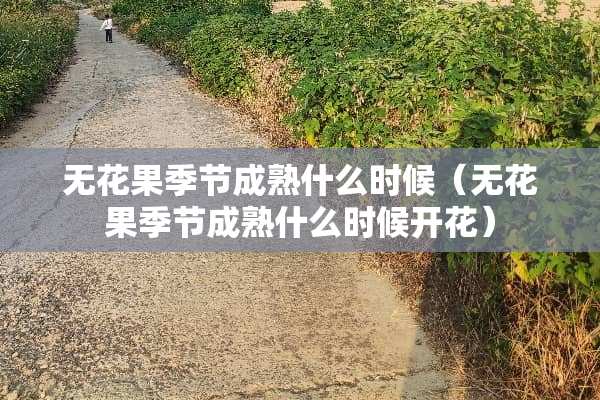 无花果季节成熟什么时候（无花果季节成熟什么时候开花）