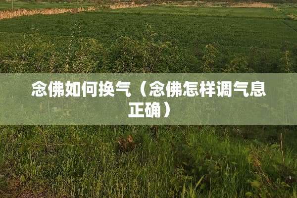 念佛如何换气（念佛怎样调气息正确）